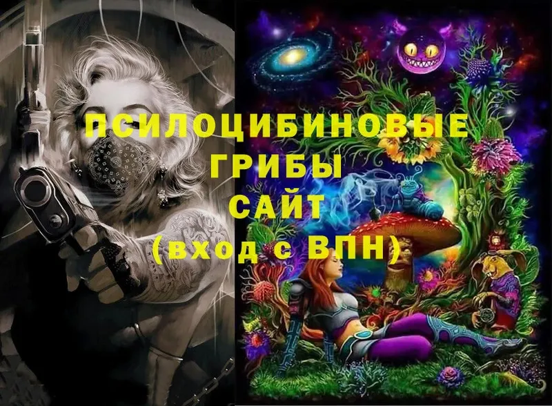 Галлюциногенные грибы MAGIC MUSHROOMS  Ухта 